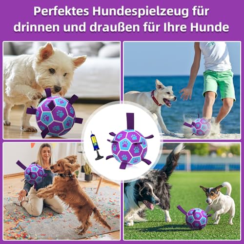 HETOO Hundeball Hundespielzeug Ball mit Griff für Hund Interaktives Schleppen von Krieg Wasser Hundebälle Spielzeug Geburtstagsgeschenk für Mittel/Große Hunde (6 Zoll Lila Blau)