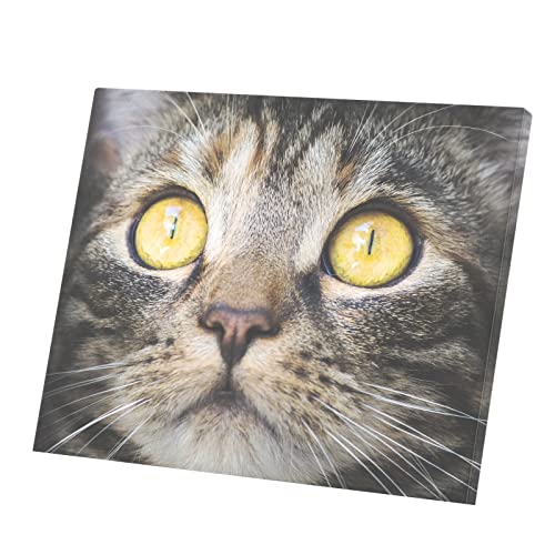 Toile imprimee Chat Tigre Europeen au format 74x60 cm de qualite galerie d'art