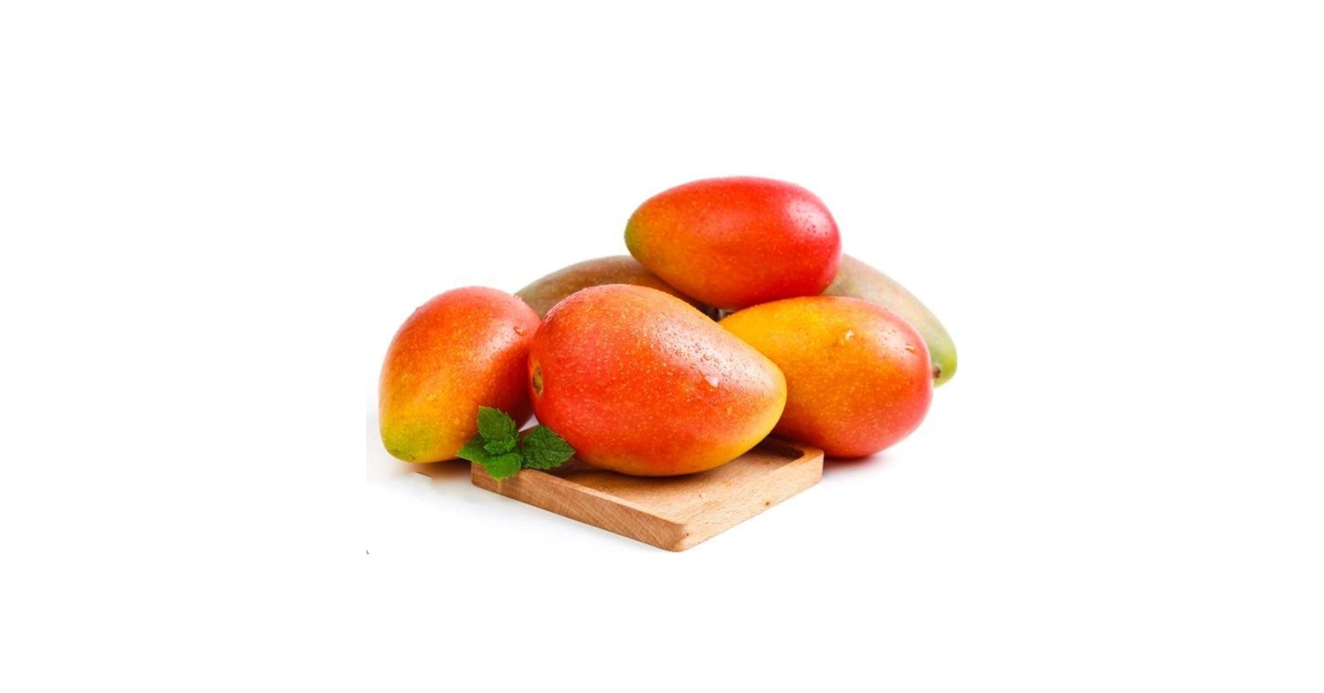 aiai超希少良苗イチジク苗木Crema di Mango aiai様専用超希少良苗イチジク苗木Crema di Mango