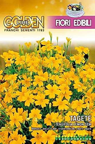 SEMI TAGETE TENUIFOLIA LEMON EDIBILE FRANCHI SEMENTI