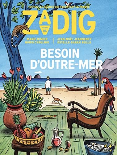 Zadig n°6 - Besoin d'Outre-Mer