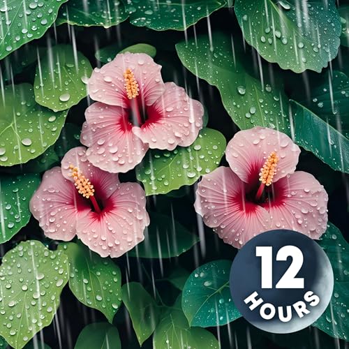 Heavy Rain on Tropical Forest Leaves 12 Hours cover art