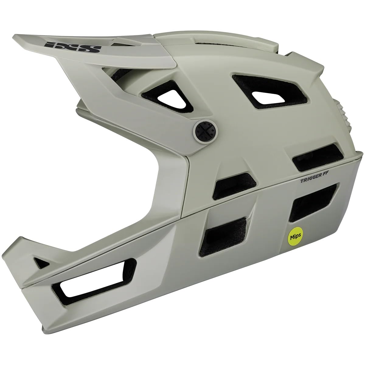 iXS Trigger FF MIPS