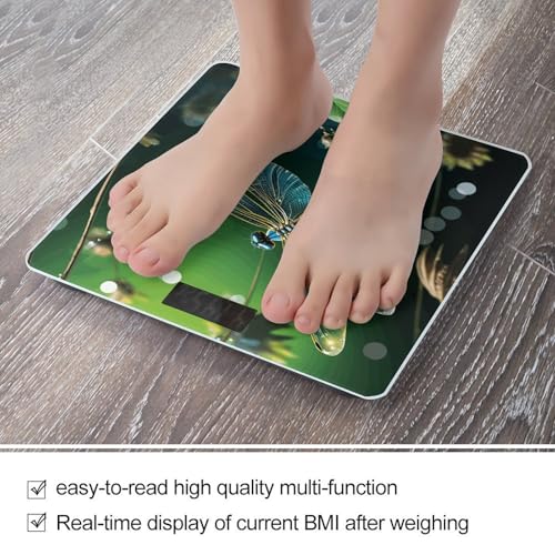 Báscula baño Dragonfly Green LCD vidrio templado 400lb miniatura 5