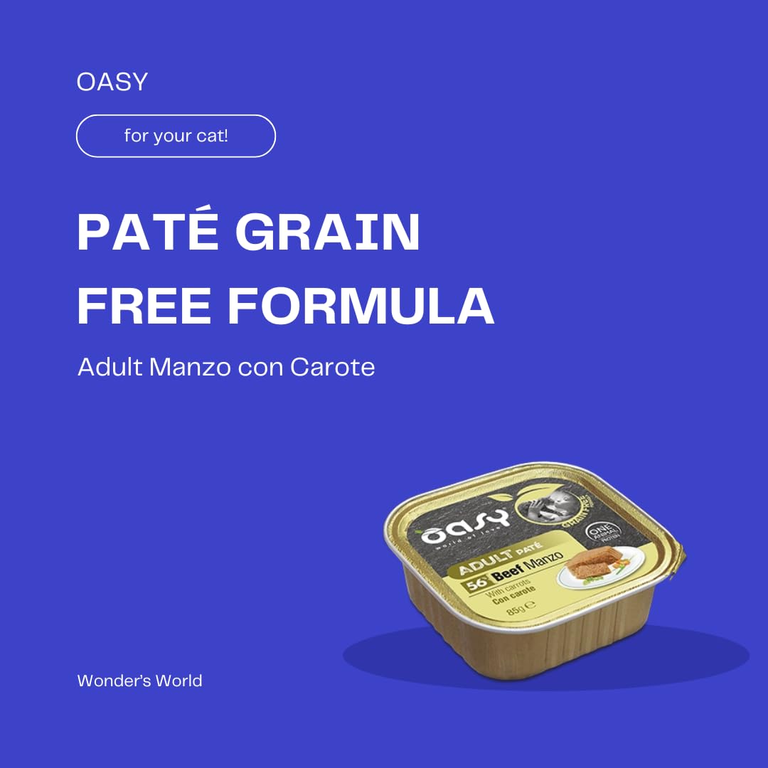 OASY Gato Paté Grain Free Formula • Carne de res con zanahorias para adultos | Alimento húmedo completo para gatos adultos, producto sin cereales, apto también para los gatos más sensibles, 12 sobres