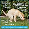 Native Pet Digestive & Wellness Boost Bundle: Probiotic for Dogs (4.1 Oz.), Daily Multivitamin (7 Oz.), Pumpkin Fiber Support (8 Oz.)