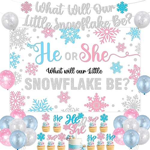 Winter Gender Reveal Party Decorations, What Will Our Little Snowflake