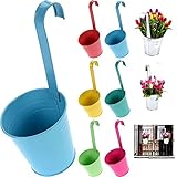 [page_title]-esto24® 6er Set Hängetopf Pflanztopf Übertopf mit Haken Bunt Zink Blumentopf Vase Balkon Garten