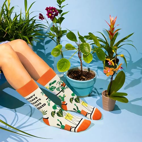 Image of Funny Socks for Women and Teenage Girls, Cute Crazy Unique Novelty Gifts | Gifts for Valentines Birthdays Easter Mothers Day Christmas Stocking Stuffers