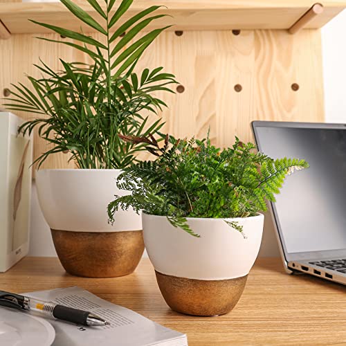 Joyonic White Ceramic Pots For Indoor Plants, 3 Set 4.6/6 / 7 Inch Christmas Plants Pot With Drainage Holes,Nursery Planter Pots For Indoor Plants Vintage Flower Pots For Aloe Vera, Succulents #TOP6