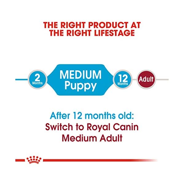 Royal Canin Medium Puppy Dry Dog Food, 6 Lb. Royal Canin Medium Puppy Dry Dog Food, 6 Lb.