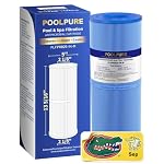 POOLPURE – POOLPURE Antimicrobia PRB25-IN-M Spa-Filter ersetzt Unicel C