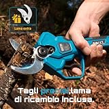 Seesii B0F5MJBRRT lato 4