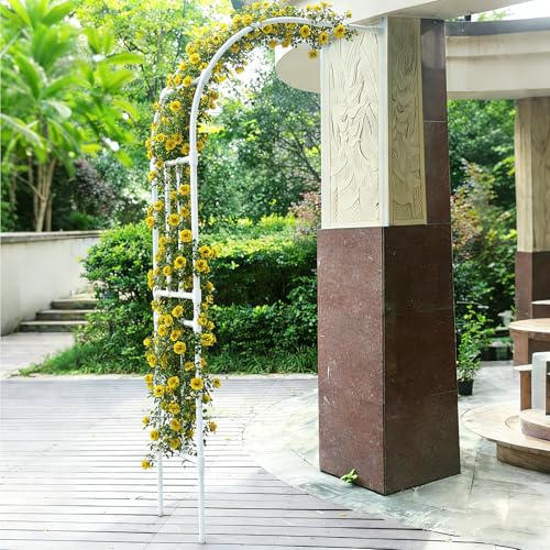 �Б����K�[�f���A�[�`�g�����X�A��A���p�������A�[�o�[�A���O�p�A���W���[�����f�U�C���A��^�K�[�f���A�[�`�����A�ԁA��؁A��A���ɍœK(White,150cm)