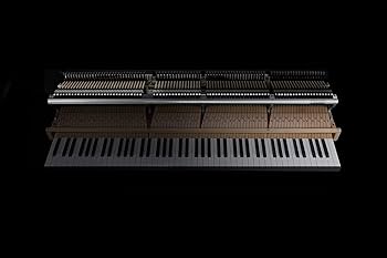 Amazon | KAWAI NOVUS NV10S 電子ピアノ 88鍵盤 ハイブリッドピアノ