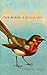 Produktbild The Robin: A Biography (The Bird Biography Series, 1)