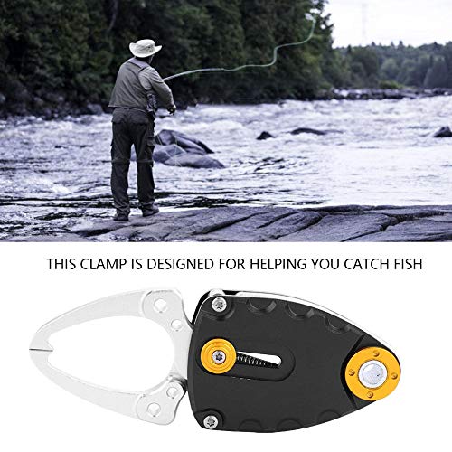 Eagle Claw 04070-003 Scale W/Tape Measure, 50 Lb, Dial