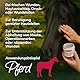 HERZENSTIER Wund(er) Puder 45g für Hund, Katze & Pferd - Trocknet nässende Wunden schnell, Hautberuhigend bei Verletzungen & Hautausschlag - Ideal für öffene Stellen
