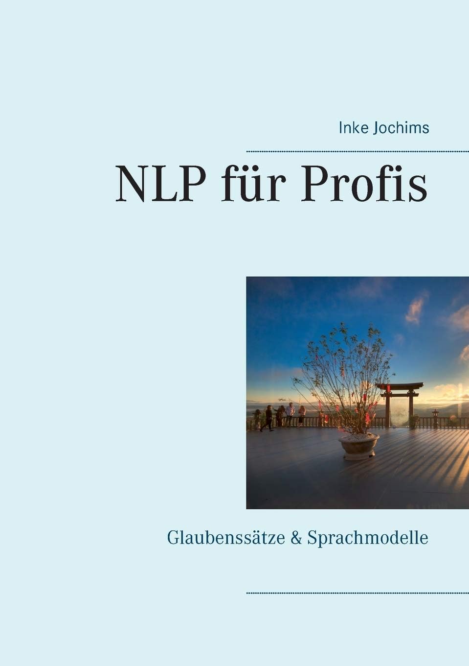 NLP für Profis: Glaubenssätze & Sprachmodelle