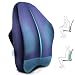Winjoy Ergonomic Lumbar Support Pillow, 100% Pure Memory Foam Back Cushion with Breathable 3D Back Pillow Design for Lower Back Pain Relief,Durable Adjustable Straps for Chair/Recliner/Car Seat