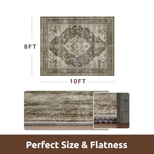 AMOAMI Area Rug - 8x10 Vintage Soft Coffee & Brown Rug for Living Room, Bedroom, Dining Room, Office - Non-Slip, Washable Carpet