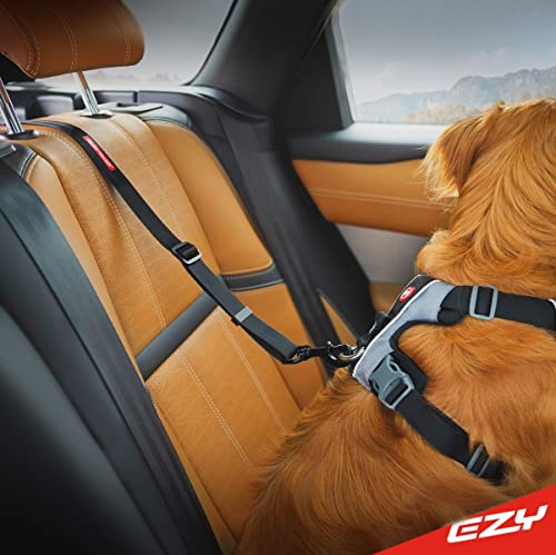 EzyDog Anschnallgurt Hund Auto – Click ISOFIX Hundeanschnaller für den Kofferraum, verstellbar, kompatibel mit Hundegeschirr – Hundegurt Auto aus Nylon für Reisen (60–100 cm, Schwarz)