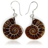Natural Ammonite Fossil with S925 Sterling Silver Hook Charm Earrings