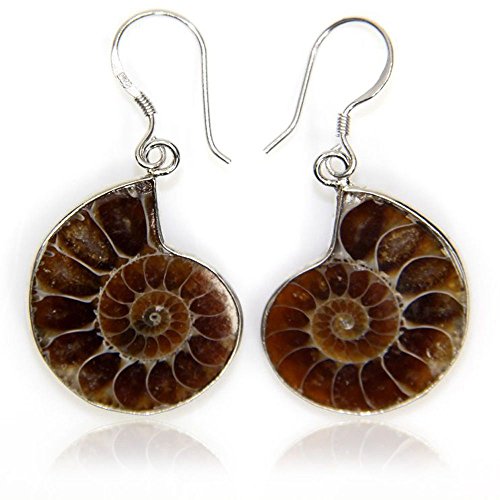 Natural Ammonite Fossil with S925 Sterling Silver Hook Charm Earrings