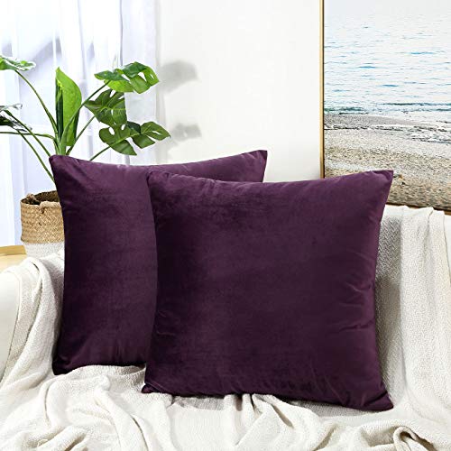 JUSPURBET Velvet Pillow Covers,Pack of 2 Decorative Throw Pillow case for Couch Bed Sofa,Soft Cushion Pillowcase,26x26 Inches,Eggplant Purple