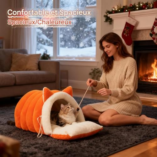 Lit de petit chat fermé d'hiver chaud et peluche antidérapante