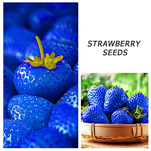 400+ Mix Strawberry Seeds For Planting Red Yellow Blue White Climbing Strawberry Heirloom Non-Gmo Everbearing Fruit Sweet And Delicious #TOP2
