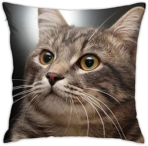 WAZHIJIA Cute Cat Throw Pillow Cover Couch Pillow Case Square Outdoor Pillow Sofa Bed Lumbar Pillowcase Decorative 18 X 18 Inch