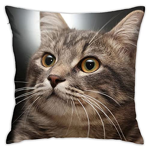 Wazhijia Cute Cat Throw Pillow Cover Couch Pillow Case Square Outdoor Pillow Sofa Bed Lumbar Pillowcase Decorative 18 X 18 Inch #TOP16