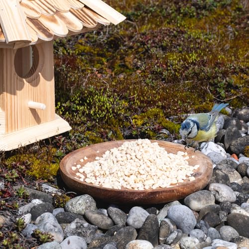 Lyra Pet® | 25 kg Erdnusskerne weiß gehackt | Ideal für Kleine Vögel & Jungtiere | Wildvogelfutter für Sommer & Winter | Fetthaltig & Nährstoffreich | Energiespender für Wildvögel | Gehackte Erdnüsse