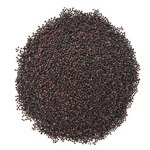 Broccoli Seeds for Sprouting & Microgreens | Waltham 29 Variety | Non GMO & Heirloom Seeds | Bulk 1 LB (16 oz) Resealable Bag | Rainbow Heirloom Seed Co. - Thumbnail 2
