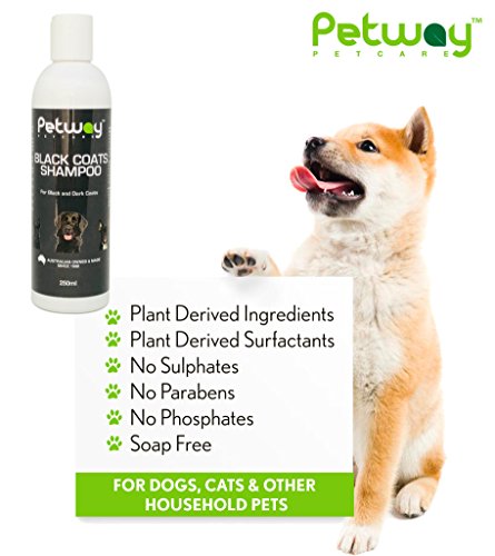Petway Petcare Black Coat Shampoo, Natural Pet Shampoo For Dogs With Black Coats, Enhances Natural Coat Colours, Ph Balanced Biodegradable Dog Shampoo, Free Of Phosphates, Parabens & Enzymes, 250Ml #TOP3