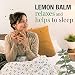 Imagen de ORIGEENS INFUSIÓN LEMON BALM