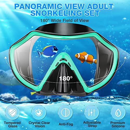 Piyazi Snorkeling Gear For Adults, Dry Adult Snorkel Set Hd Panoramic View Snorkel Mask Set, Anti-Leak And Anti-Fog Scuba Diving Package With Mesh Bag Ear Plug For Snorkeling Scuba Diving Travel #TOP1