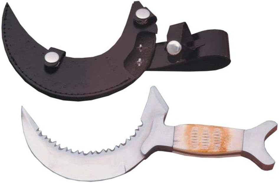 Szco Supplies 10” Moon Crescent Fantasy Knife – Bone Handle Tactical Knife with Serrated Stainless Steel Blade and Leather Sheath for Hunting and Outdoor Use