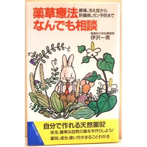 薬草療法なんでも相談―腰痛、冷え症から肝臓病、ガン予防まで (主婦の友健康ブックス)