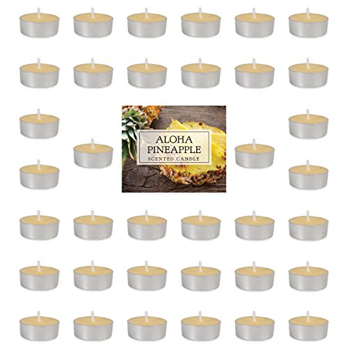 Dii Z02077 Home Traditions Highly Scented Tealight Candle cover