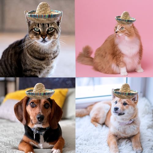 AWOCAN Cat Sombrero Hat Cat Hat Pet Sombrero Hat Cinco De Mayo Mexican Pet Straw Cap with Adjustable Chin Strap(Green)