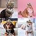 AWOCAN Cat Sombrero Hat Cat Hat Pet Sombrero Hat Cinco De Mayo Mexican Pet Straw Cap with Adjustable Chin Strap(Green)