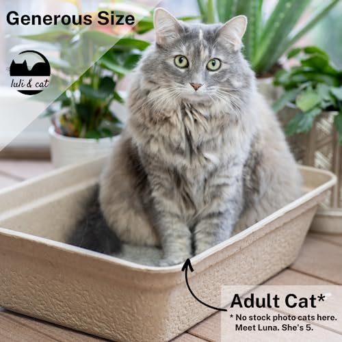 Image of Disposable Litter Box for Cats | Thick and Sturdy Jumbo Sized 4-Pack
