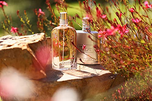 L'OCCITANE - Eau de Toilette Fleurs de Cerisier - Parfum Femme - Senteur Florale & Délicate - 75ML - Image 5