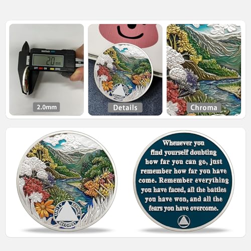 Image of Imasoner 8 Month Sobriety Coin, Summer Seasons AA Medallion Recovery Chip | Daily Reminder Sober Token with Inspirational Quote, Clean Time Milestone Gift for Alcoholics Anonymous Members Men & Women