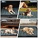 Feelhap Hundedecke 110x68cm Waschbares,Hundedecke für Unterwegs Wasserdicht,rutschfeste Hundematte Komfort und Weiches Wasserdichtes Hundebett,Outdoor,Reise,Auto-Kofferraum Hundekissen (Grau)