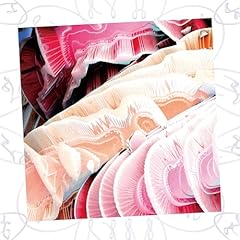 Ditty - NV / NAQT VANE