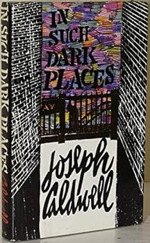 Hardcover In Such Dark Places Book
