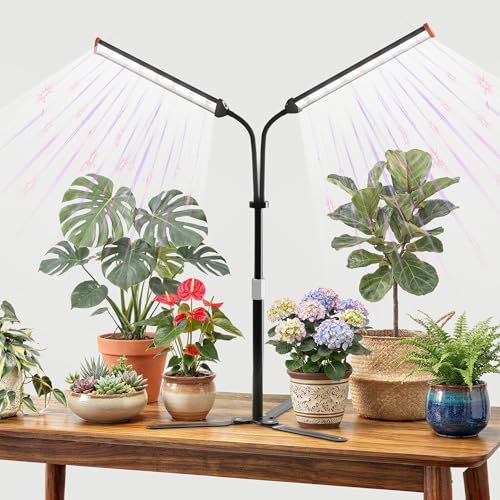 GooingTop Grow Light for Indoor Plants,5000K Full Spectrum Growing Plant Lamp with White Red Blue LED for Pots Succulents Seed Starting,Height Adjustable 10-32'' with Optional Dimming & Timer